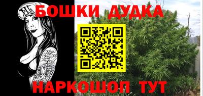 PSILOCYBIN Малгобек