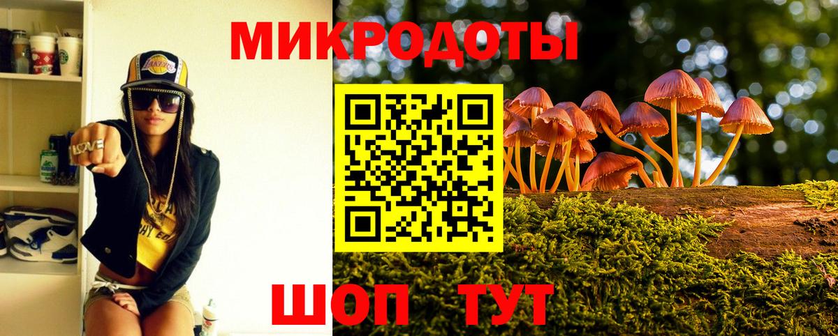 Псилоцибиновые грибы Psilocybine cubensis  даркнет сайт  Узловая  Псилоцибиновые грибы ЛСД  Вход с VPN 