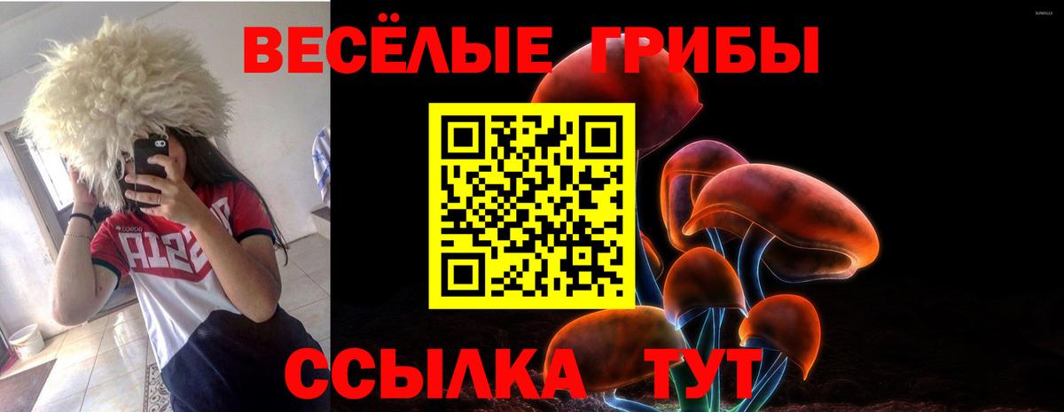 Псилоцибиновые грибы ЛСД Узловая